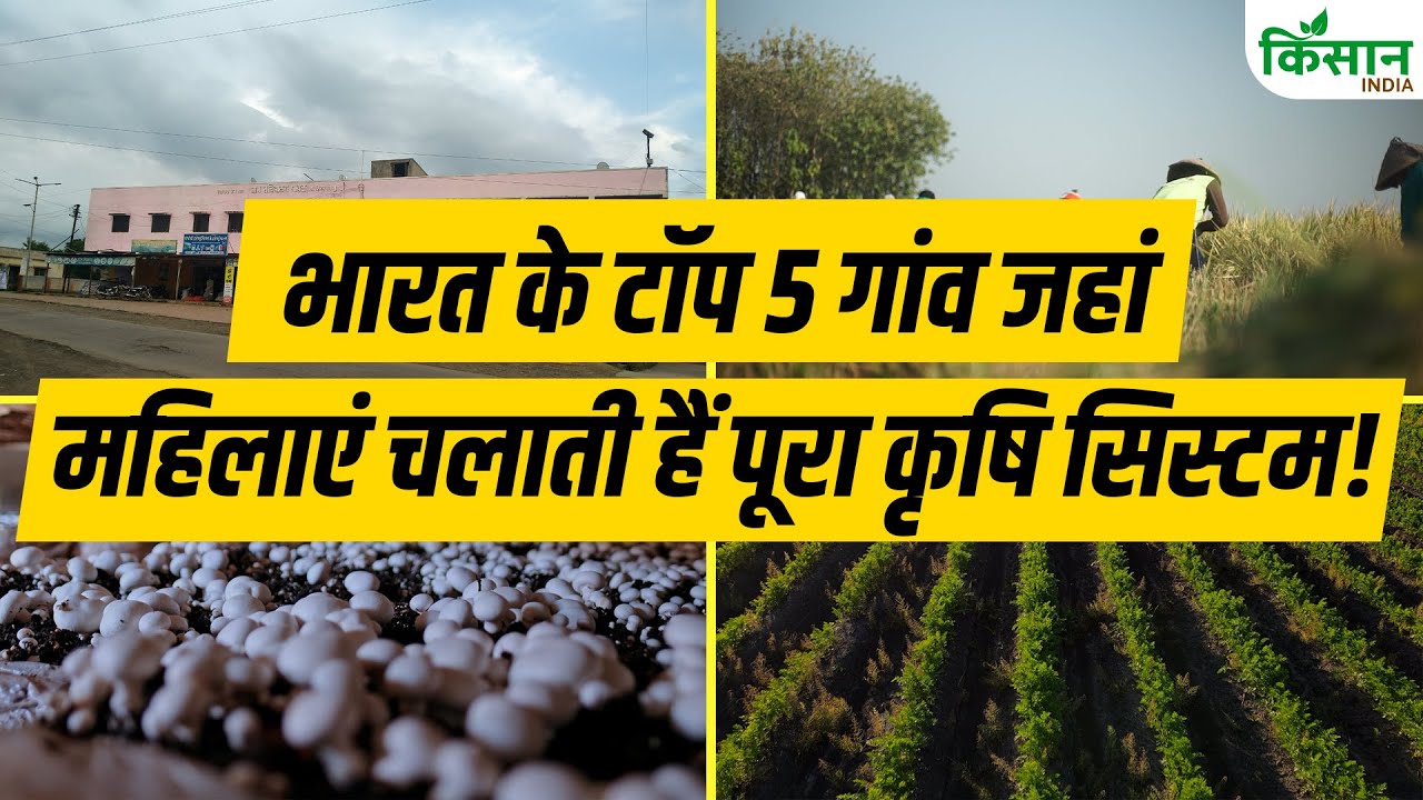 Top 5 Village: बाजार रणनीति, फसल चयन और मुनाफे का गणित तय करती हैं गांव की महिलाएं