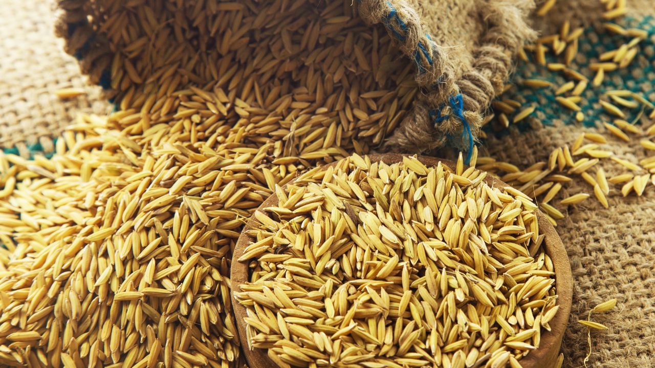 ओडिशा में धान खरीदी में गड़बड़झाला, हाईकोर्ट पहुंचा मामला.. किसानों को प्रति क्विंटल 200 रुपये का नुकसान
