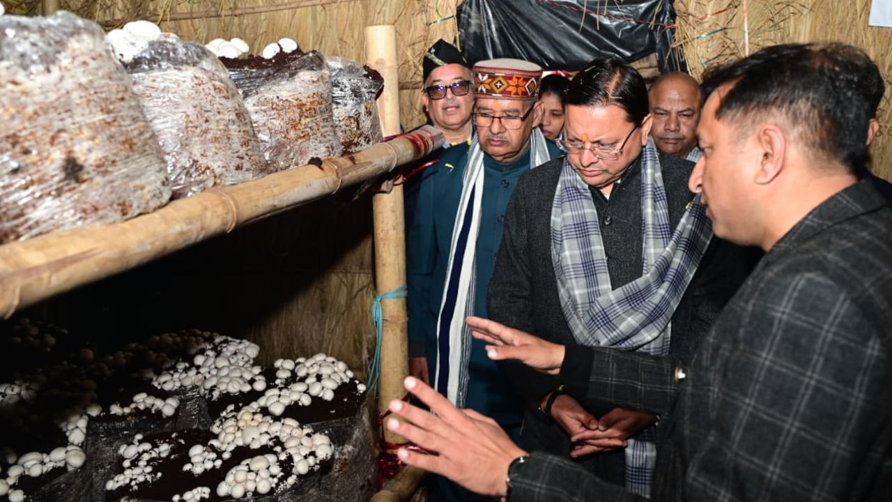 मशरूम उगाकर लखपति बनेंगे किसान, मशरूम ग्राम मॉडल का शुभारंभ.. ट्रेनिंग-पैसा और मार्केटिंग सपोर्ट मिलेगा