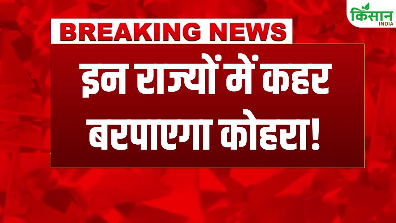 IMD Alert: पंजाब, हरियाणा और चंडीगढ़ में घना कोहरा, 16 दिसंबर को विजिबिलिटी बेहद कम रहने की चेतावनी
