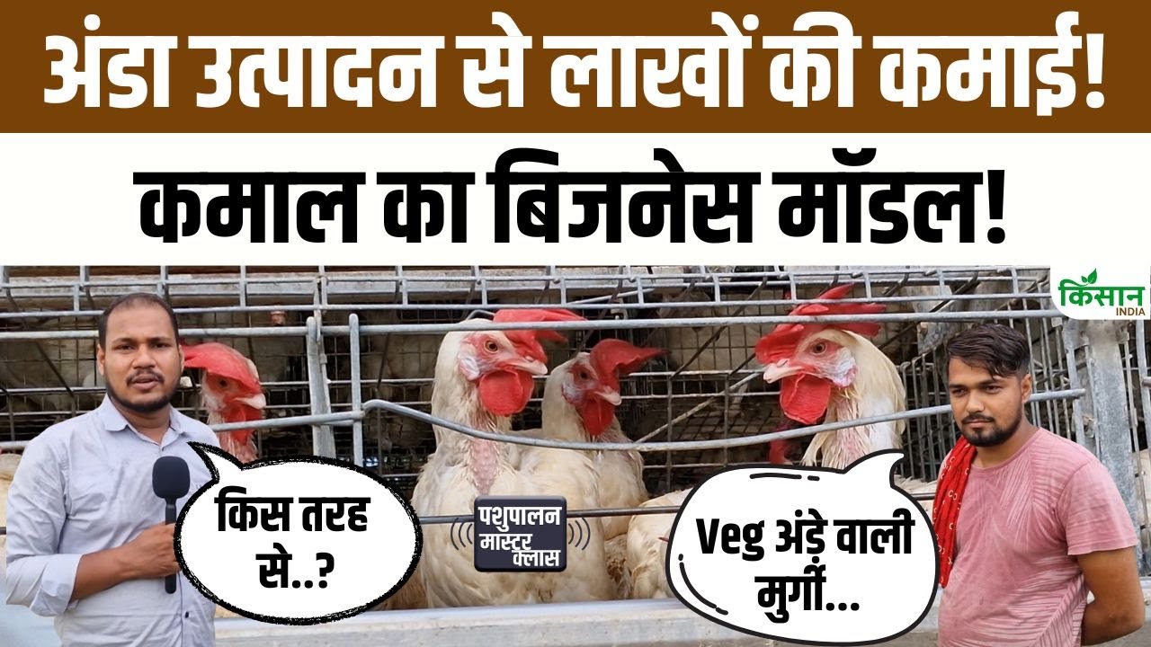 अंडों से किसान की कमाई में जबरदस्त उछाल, नए बिजनेस मॉडल ने सभी को हैरान कर दिया
