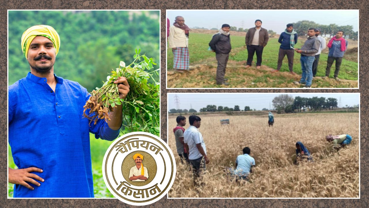 लगातार गेहूं-चावल उगाने से खेत बर्बाद, मिट्टी सुधार के लिए महेंद्र ने अपनाया ये तरीका तो नतीजों ने चौंकाया