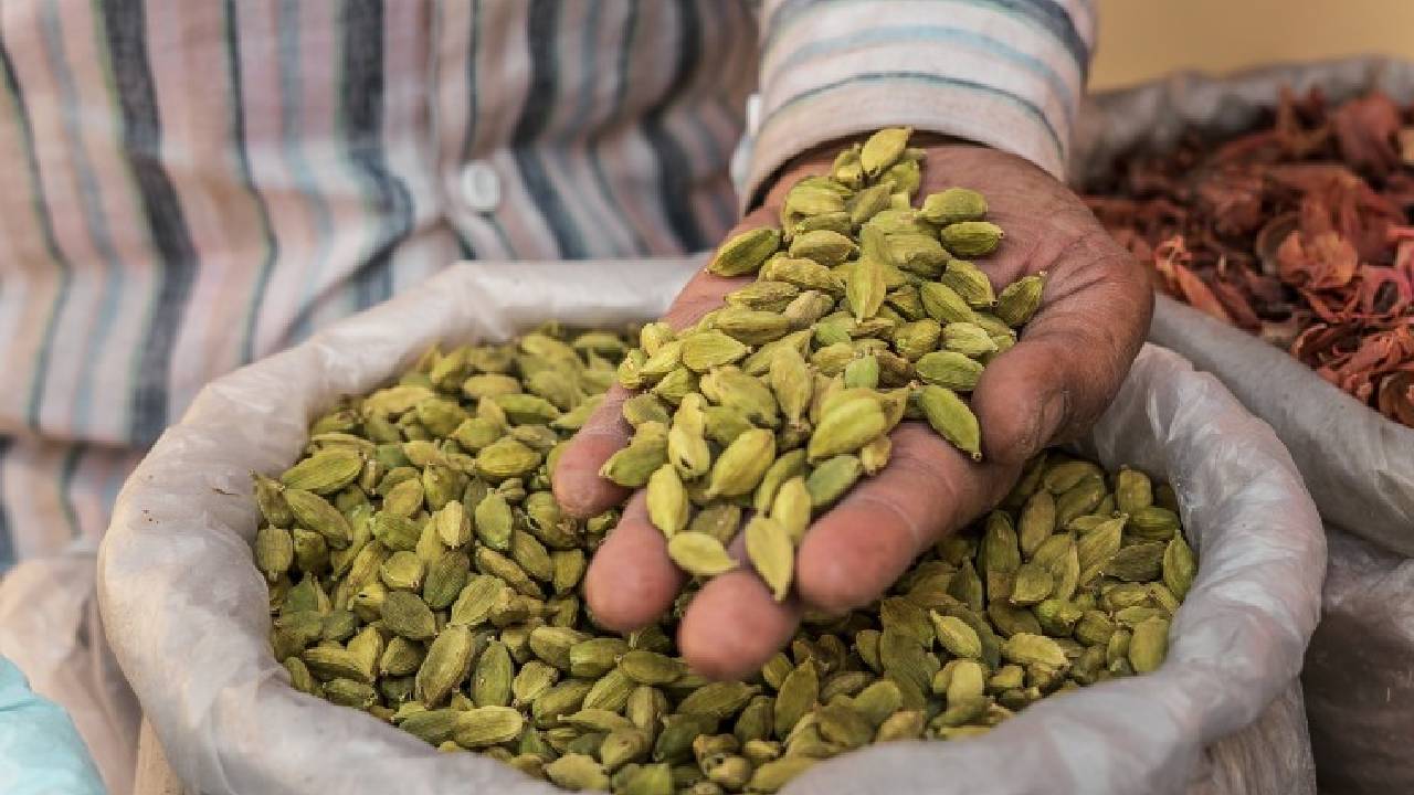 इलायची किसानों के लिए सुनहरा साल, लेकिन सवाल…क्या अब कम हो जाएंगे दाम?