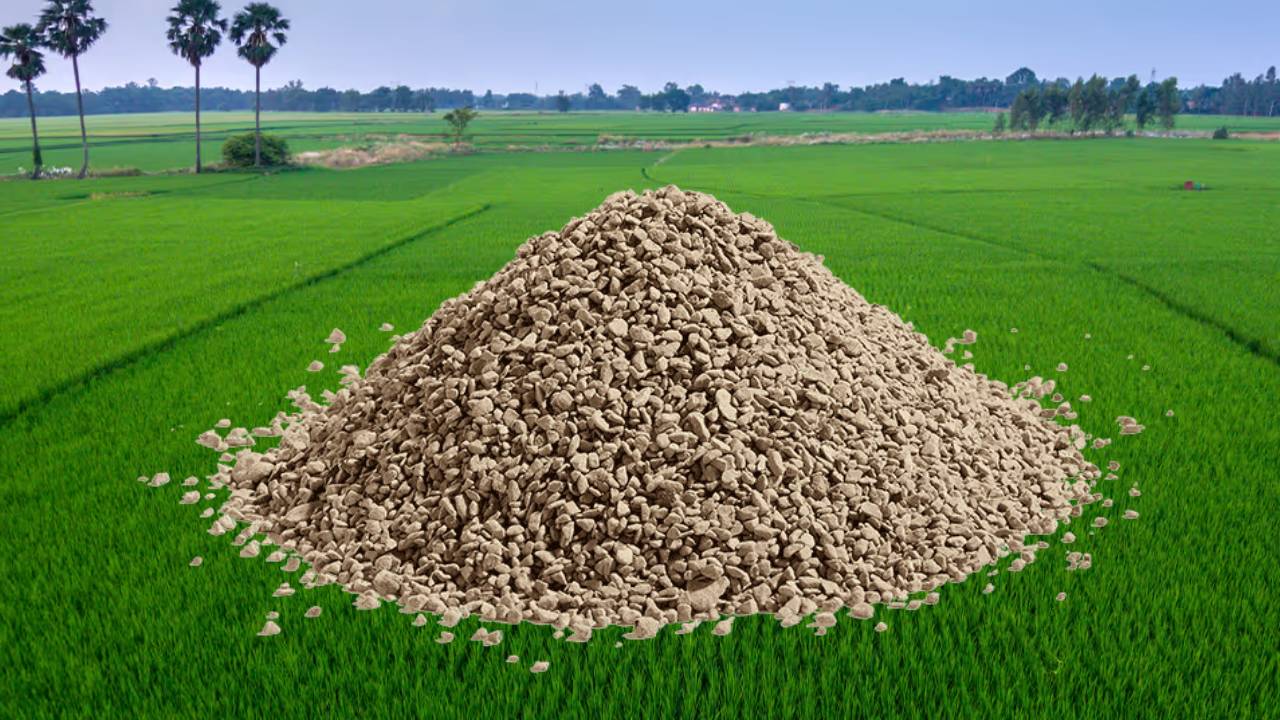 मोरक्को OCP का बड़ा ऐलान, भारतीय किसानों को मिलेगी भरपूर फॉस्फेटिक खाद