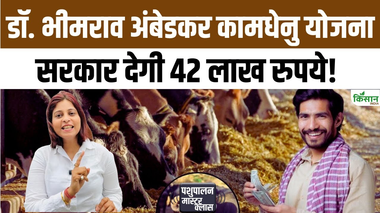 कामधेनु योजना से डेयरी शुरू करने वालों को बड़ा फायदा, सरकार दे रही है लाखों की सब्सिडी