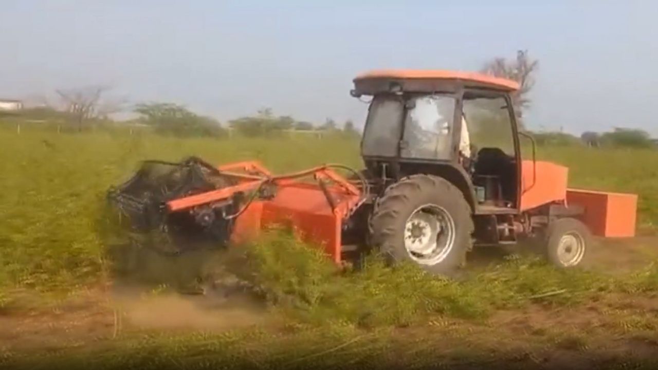 दुनियाभर में मशहूर सोजत मेहंदी की कटाई करेगी हीना मशीन, किसानों का खर्च बचाने के लिए आई तकनीक