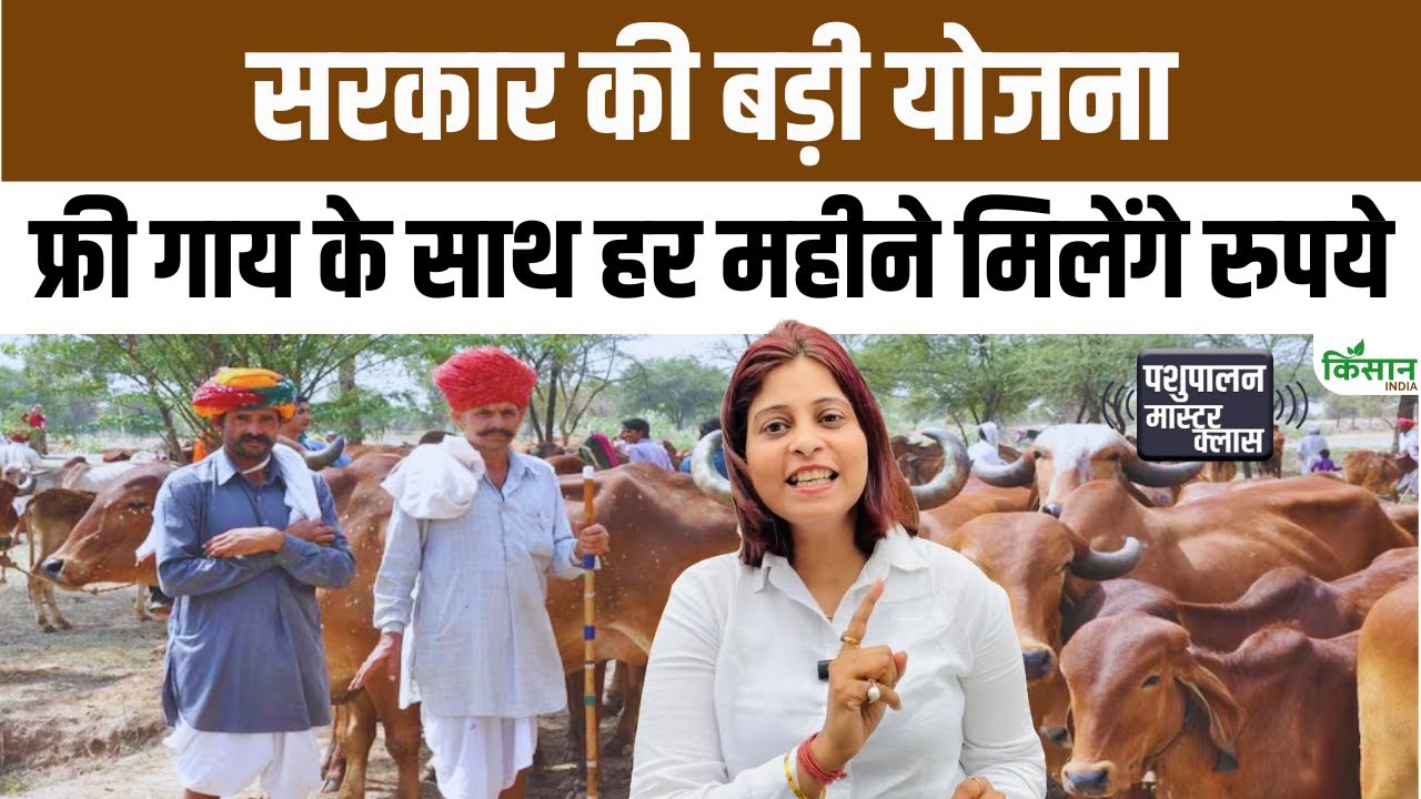 एमपी सरकार की बड़ी योजना फ्री गाय के साथ हर महीने 1500 रुपये पशुपालकों की आमदनी बढ़ेगी और रोजगार मजबूत