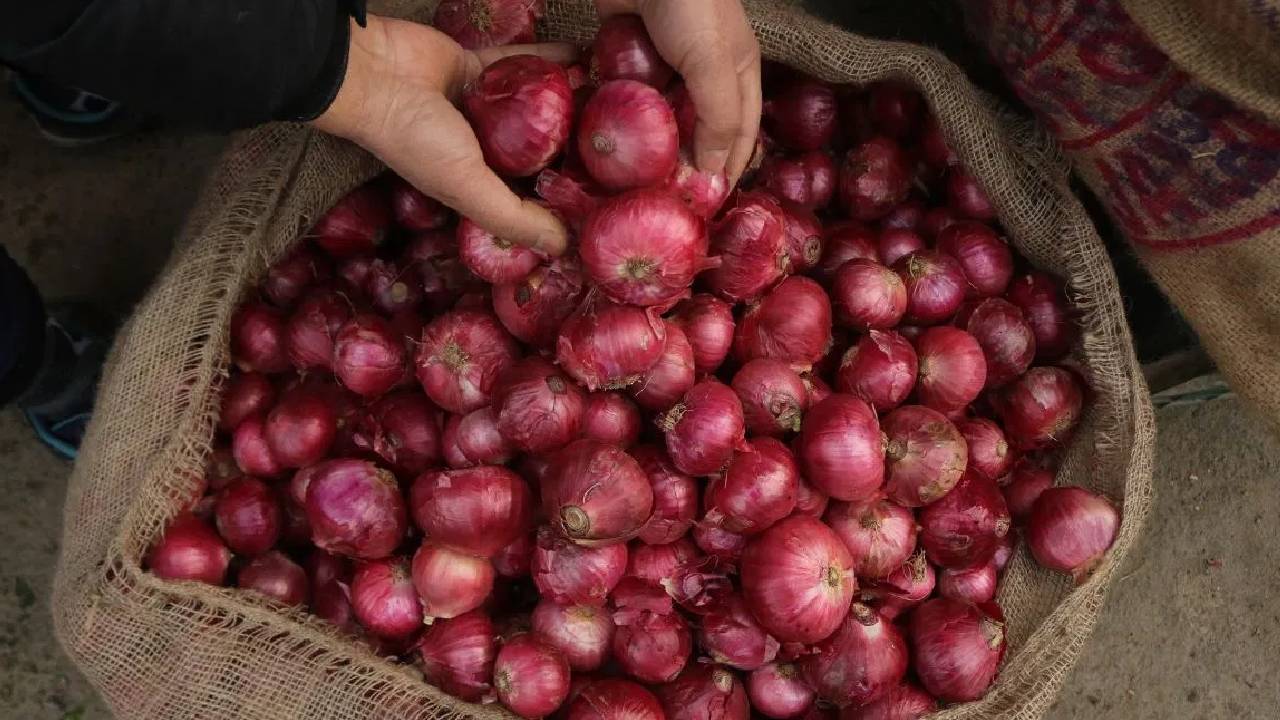 नासिक का लाल प्याज क्यों कहलाता है देश का सबसे बेहतरीन प्याज? जानिए इसकी खास वजह