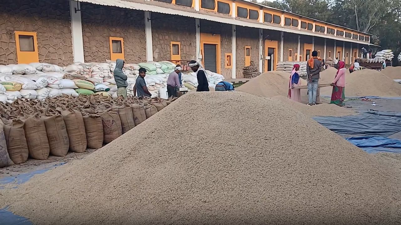 धान किसानों के खाते में पहुंचे 6791 करोड़ रुपये, सरकार ने 43 लाख मीट्रिक टन धान खरीदी