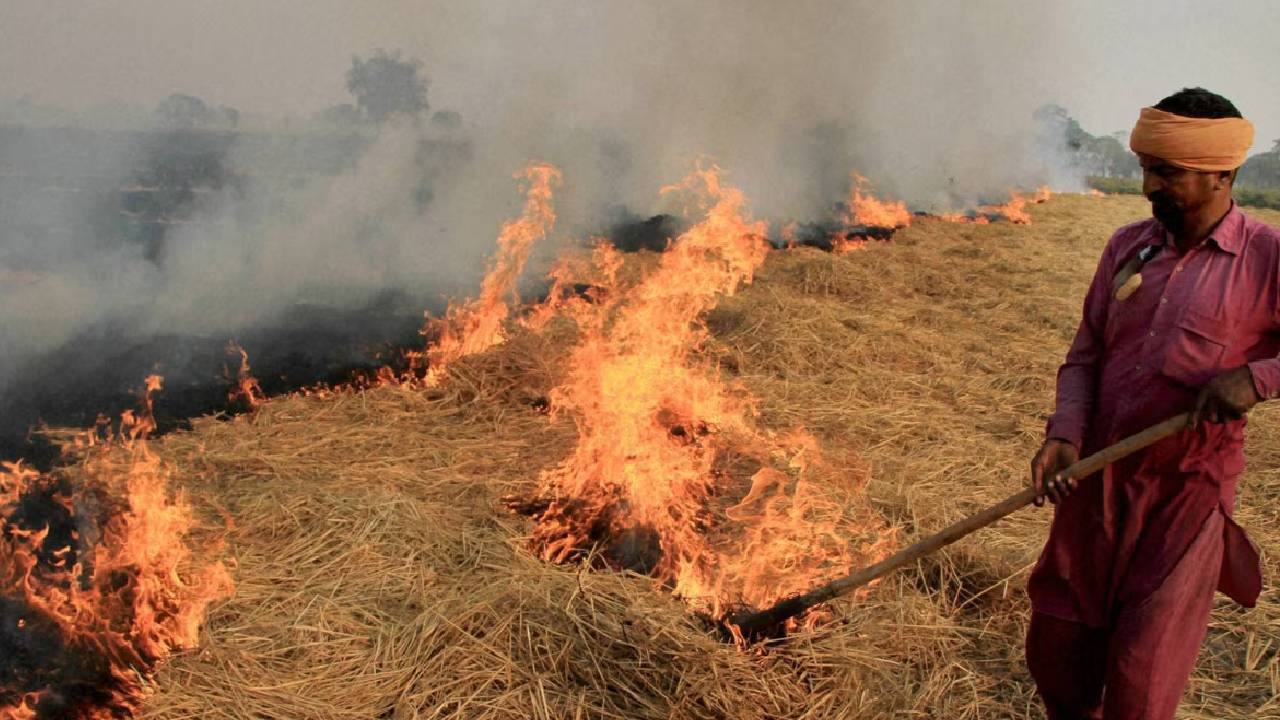पराली जलाने की जरूरत नहीं! कम खर्च में जैविक खाद बनाएंगी ये 5 आधुनिक मशीनें