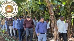 बंजर-पथरीली जमीन को उपजाऊ बनाकर 8 लाख रुपये कमा रहे पूरनलाल, खेती मॉडल देखने पहुंचे अफसर बंजर-पथरीली जमीन को उपजाऊ बनाकर 8 लाख रुपये कमा रहे पूरनलाल, खेती मॉडल देखने पहुंचे अफसर
