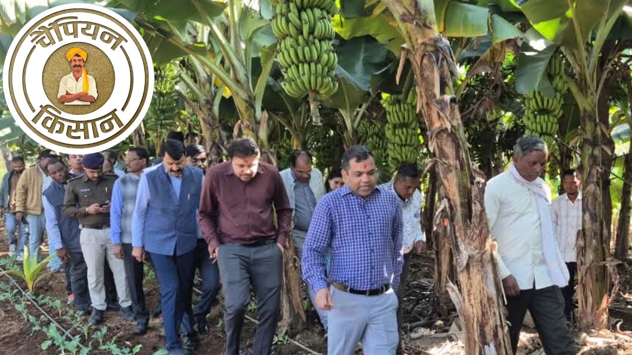 बंजर-पथरीली जमीन को उपजाऊ बनाकर 8 लाख रुपये कमा रहे पूरनलाल, खेती मॉडल देखने पहुंचे अफसर