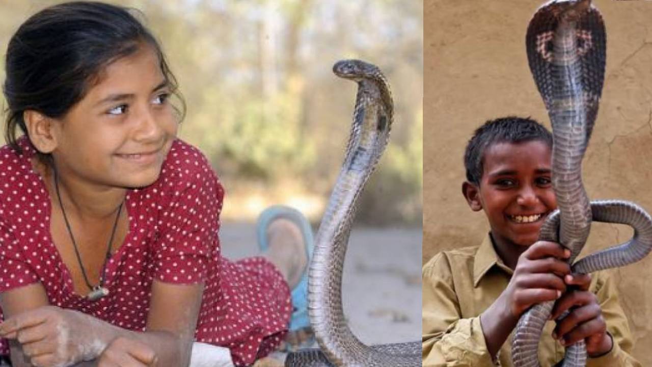 Snake Village: दुनिया भी है हैरान इस भारतीय गांव से, जहां जहरीले सांपों के साथ खेलते हैं बच्चे