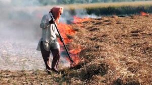 गेहूं की पराली पर अब सख्ती, 2026 की कटाई से पहले CAQM ने पंजाब-हरियाणा-यूपी को दिए कड़े निर्देश गेहूं की पराली पर अब सख्ती, 2026 की कटाई से पहले CAQM ने पंजाब-हरियाणा-यूपी को दिए कड़े निर्देश
