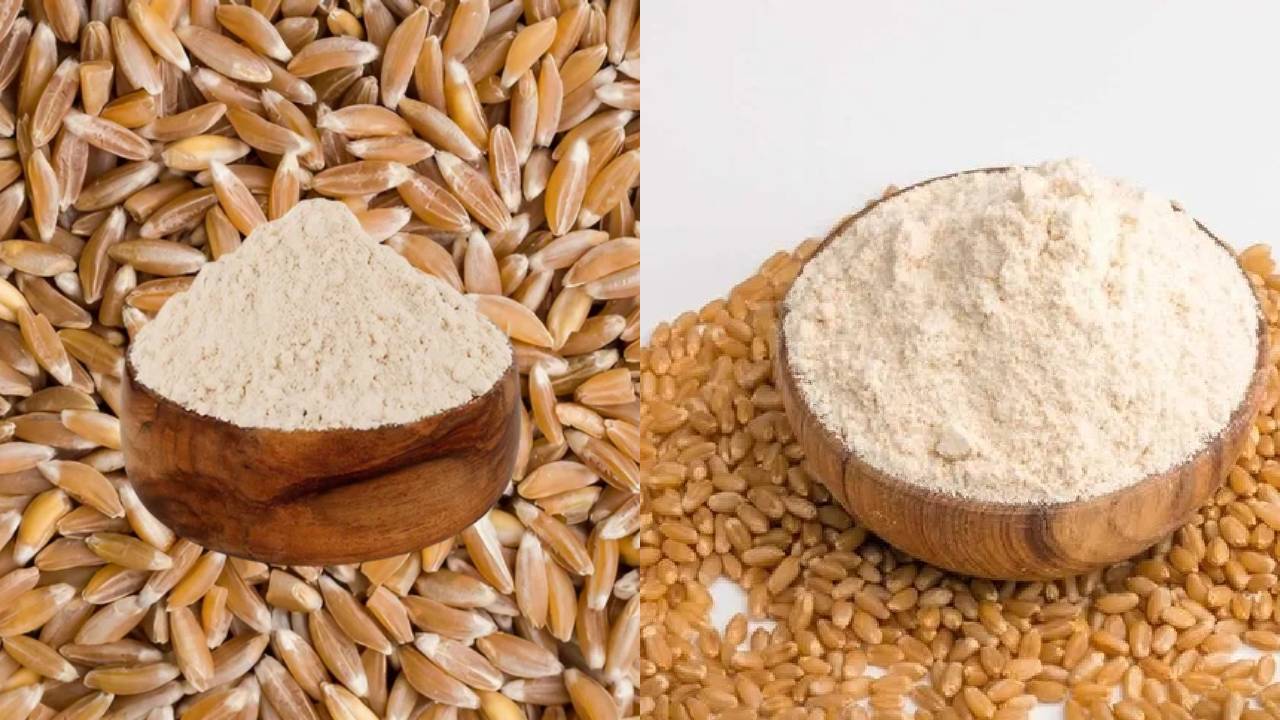 खापली या शरबती…रोटी के लिए कौन-सा आटा बेहतर? जानें पोषण, स्वाद और फायदे