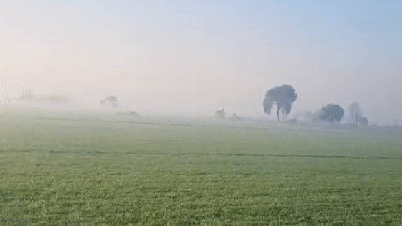 फसलों को ठंड से बचाती है ग्रीन नेट, सर्दियों में किसान अपनाएं ये आसान उपाय तो बढ़ेगी पैदावार