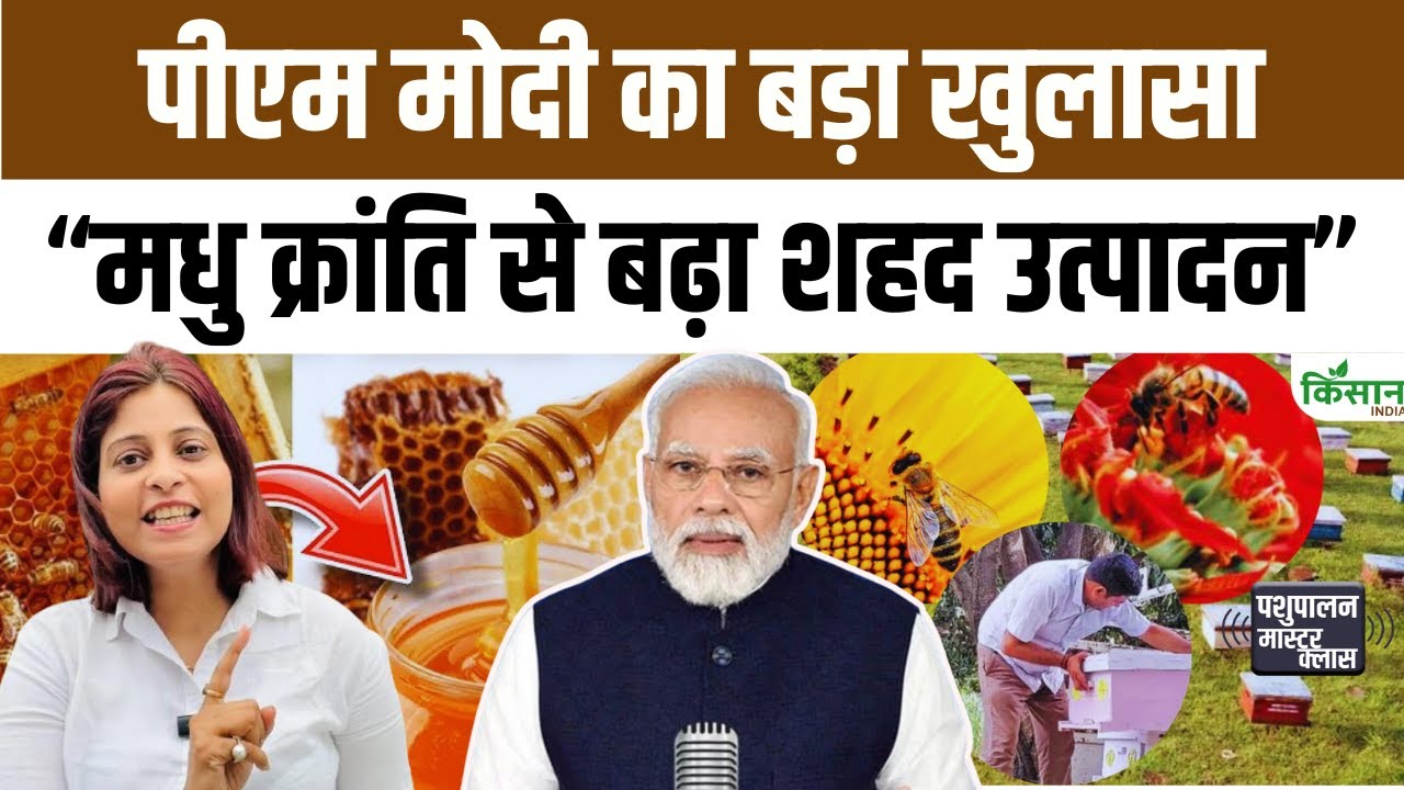 शहद उत्पादन का नया रिकॉर्ड, किसानों की आय बढ़ाने पर सरकार का बड़ा संदेश