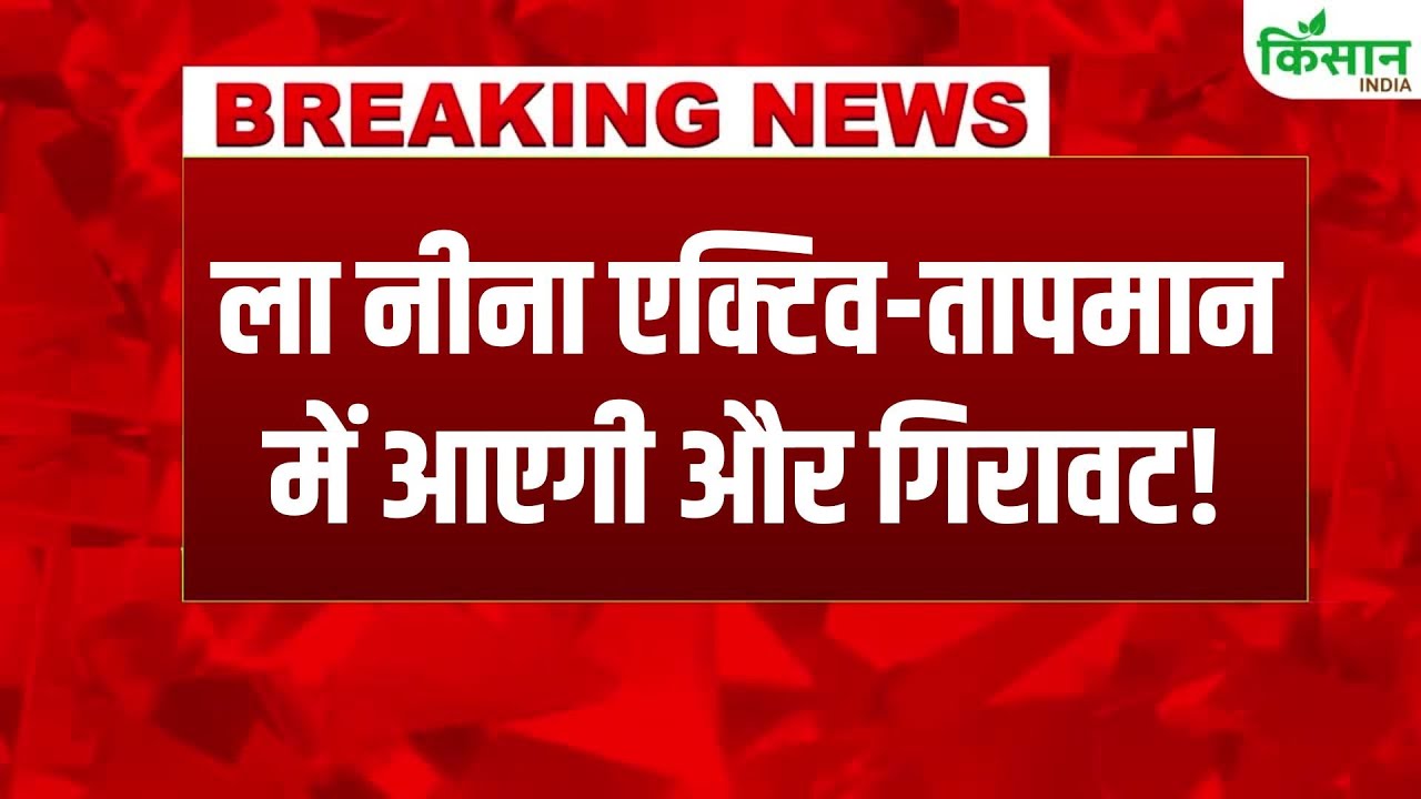 IMD का नया अलर्ट जारी, केरल समेत दक्षिण भारत में भारी बारिश का अनुमान, लोगों से सावधानी बरतने की अपील