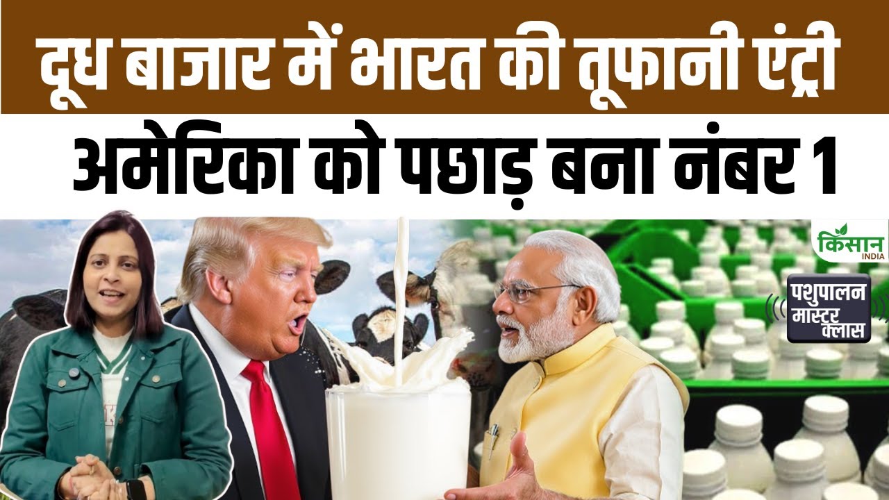 भारत बना दुनिया का नंबर-वन दूध उत्पादक देश, गायों से रिकॉर्ड उत्पादन, America और China को मात