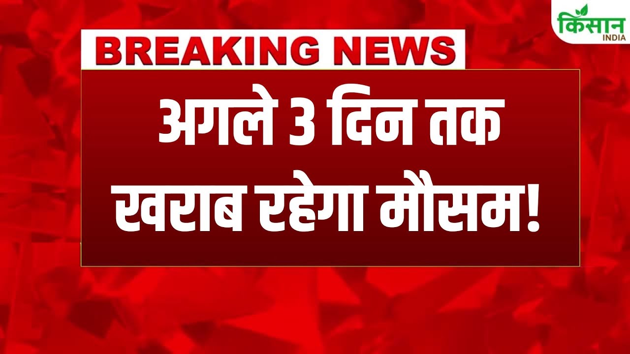 मौसम ने बदली करवट, IMD का बड़ा अलर्ट, अगले तीन दिनों तक बारिश और बर्फबारी से बढ़ेगी परेशानी