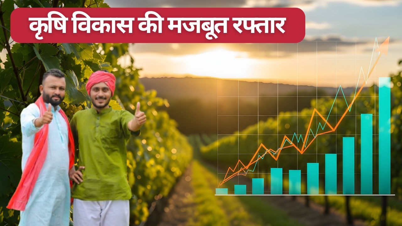 सरकार ने माना GDP में कृषि का बड़ा रोल, कृषि विकास दर तेज रही.. मछली-फल और खाद्यान्न उत्पादन रिकॉर्ड स्तर पर