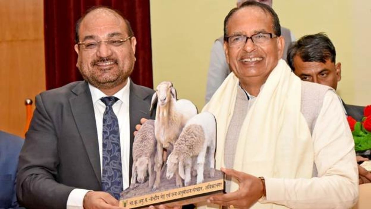 पशुधन किसानों-गांवों की मजबूत कड़ी, देसी नस्ल की गाय-भैंसें और छोटे मवेशी बढ़ा रहे कमाई
