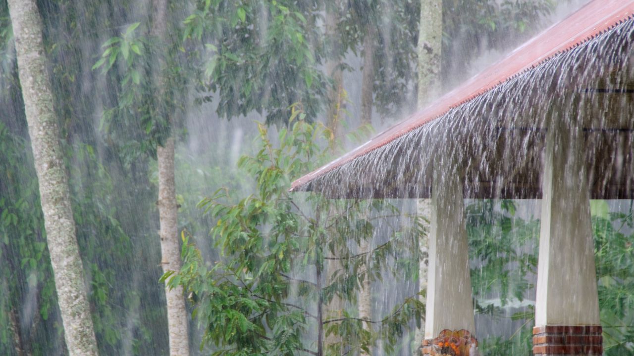 मौसम ने बदली करवट, IMD की चेतावनी के बाद ठंड, बारिश और ओलावृष्टि का खतरा बढ़ा