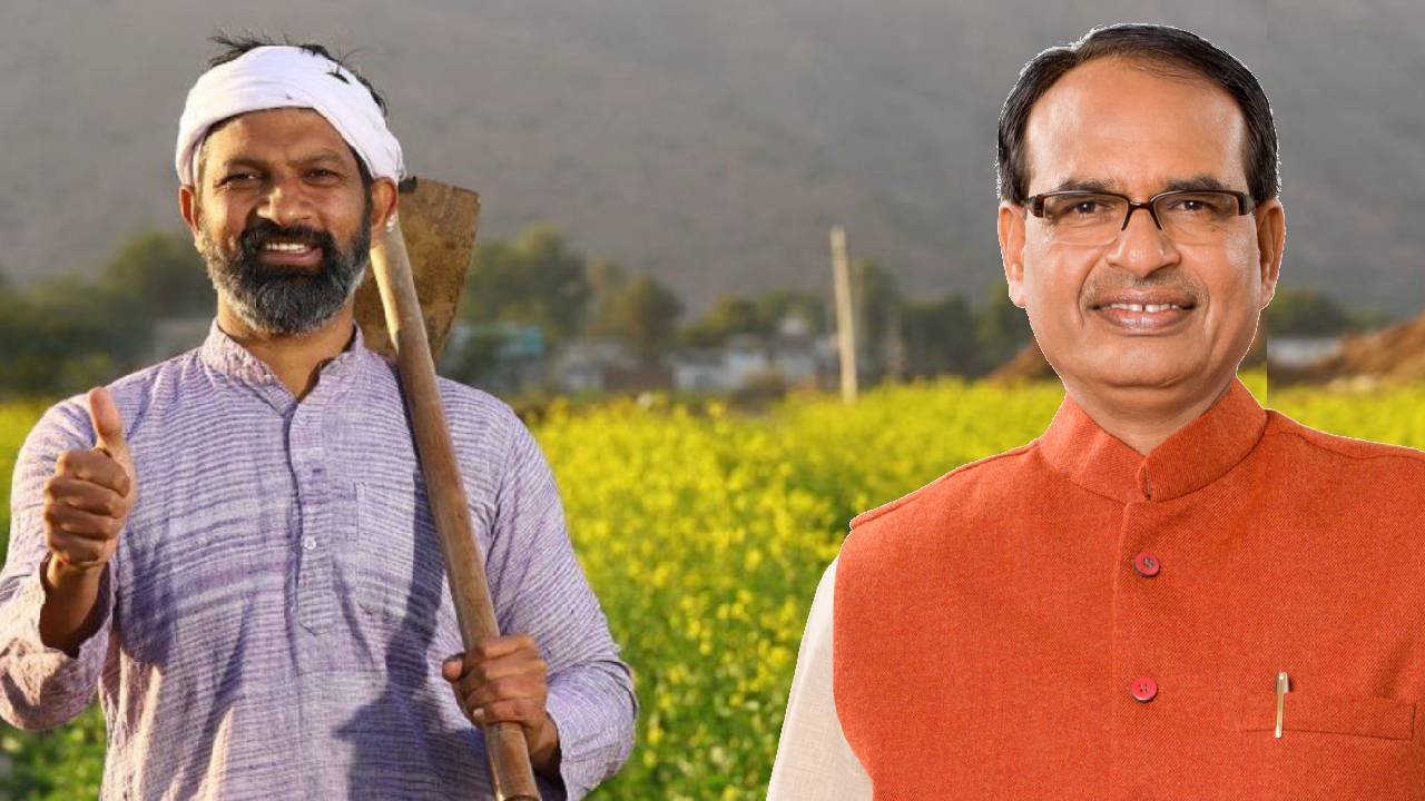 25 फसलों की 184 नई उन्नत किस्में लॉन्च करेंगे कृषि मंत्री, किसानों को होगा जबरदस्त फायदा