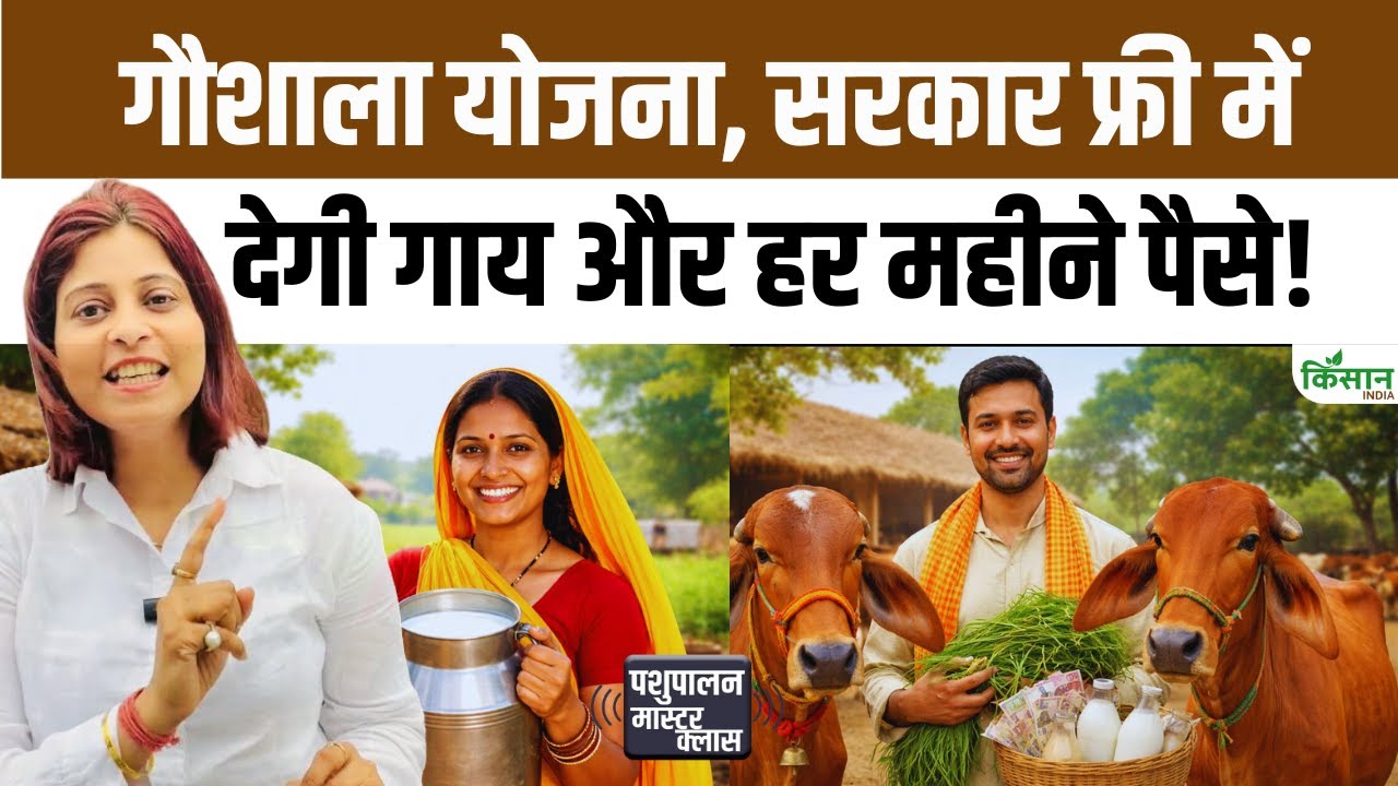 Cow Farm शुरू करने का मौका, Gaushala Yojana के तहत पाएं मुफ्त गाय और सब्सिडी