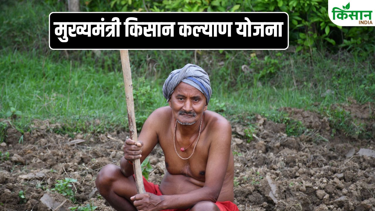 CM Kisan Kalyan Yojana: दो महीने से इंतजार, मोबाइल पर टिकी नजरें! कब आएगी 14वीं किस्त