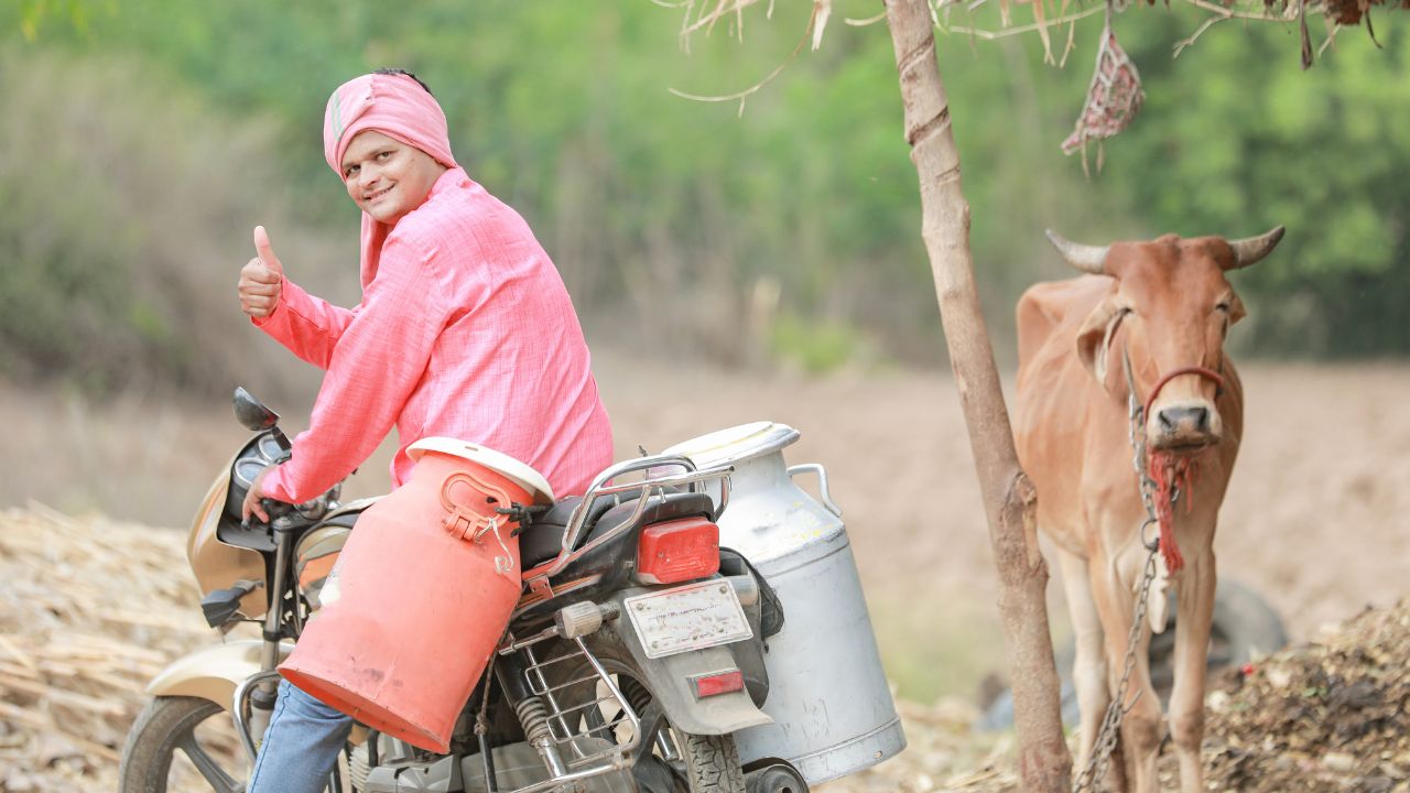 पशुओं की बीमारी से अलर्ट करेगी AI सरलाबेन, वैक्सीनेशन और दवा फीडिंग के साथ दूध बढ़ाने की गाइडेंस देगी