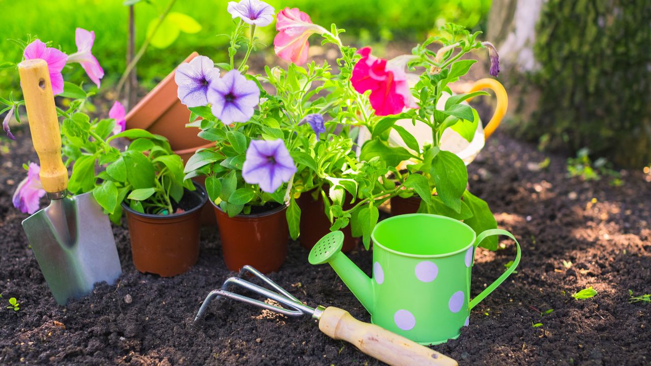 Gardening Tips: इस खाद से गमलों के पौधे फिर होंगे हरे-भरे, पत्तियों की पीलापन समस्या होगी दूर