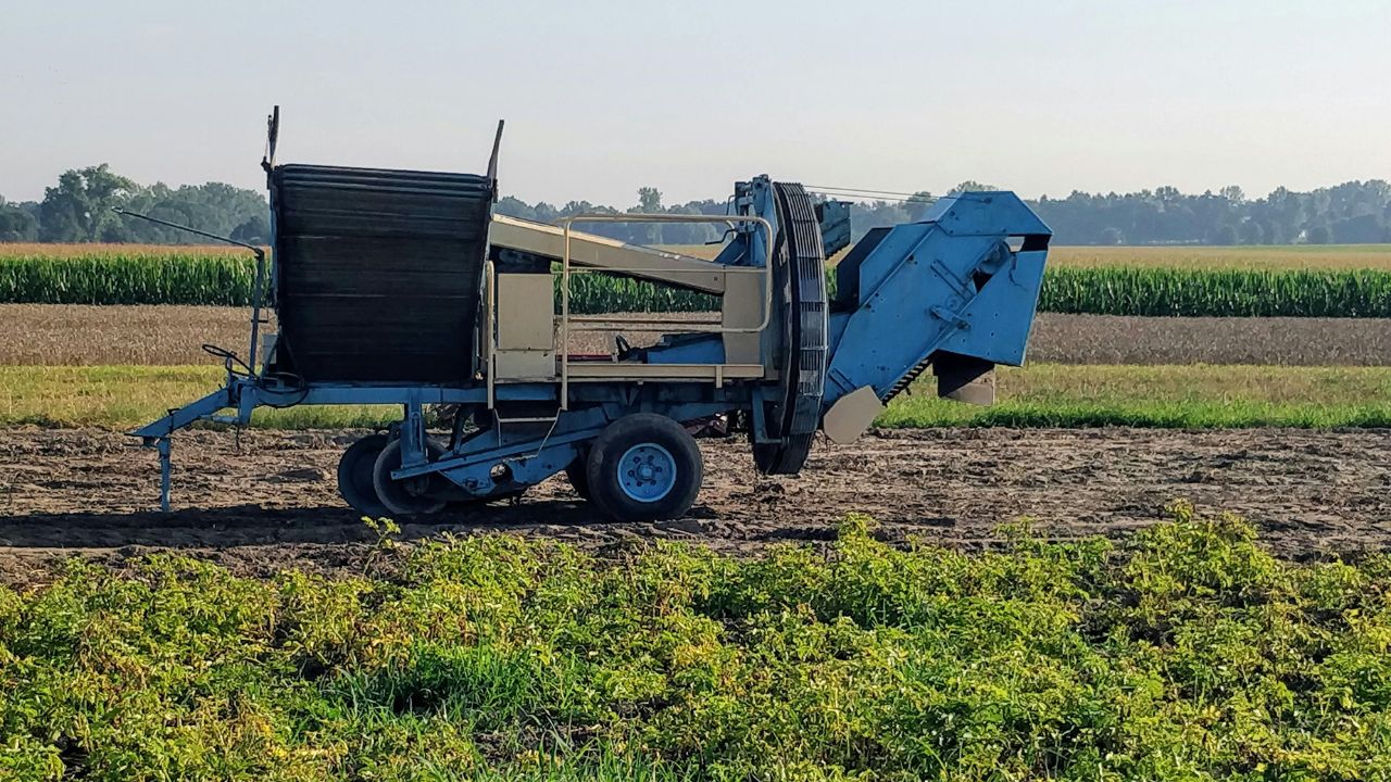 Stone Picker Machine: खेत में पड़े पत्थर बन रहे नुकसान की वजह, स्टोन पिकर मशीन दिलाएगी कंक्रीट से छुटकारा