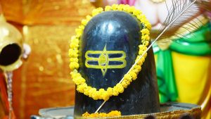 Maha Shivratri 2026: राशि अनुसार शिवलिंग पर चढ़ाएं ये चीजें, पाएं भोलेनाथ की असीम कृपा, हर मनोकामना होगी पूरी! Maha Shivratri 2026: राशि अनुसार शिवलिंग पर चढ़ाएं ये चीजें, पाएं भोलेनाथ की असीम कृपा, हर मनोकामना होगी पूरी!