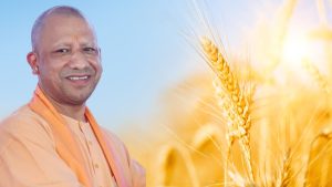 यूपी में गेहूं खरीद शुरू.. पहले दिन मंडियों में उपज लेकर पहुंचे किसान, 160 रुपये बढ़ाकर मिल रहा गेहूं का भाव यूपी में गेहूं खरीद शुरू.. पहले दिन मंडियों में उपज लेकर पहुंचे किसान, 160 रुपये बढ़ाकर मिल रहा गेहूं का भाव