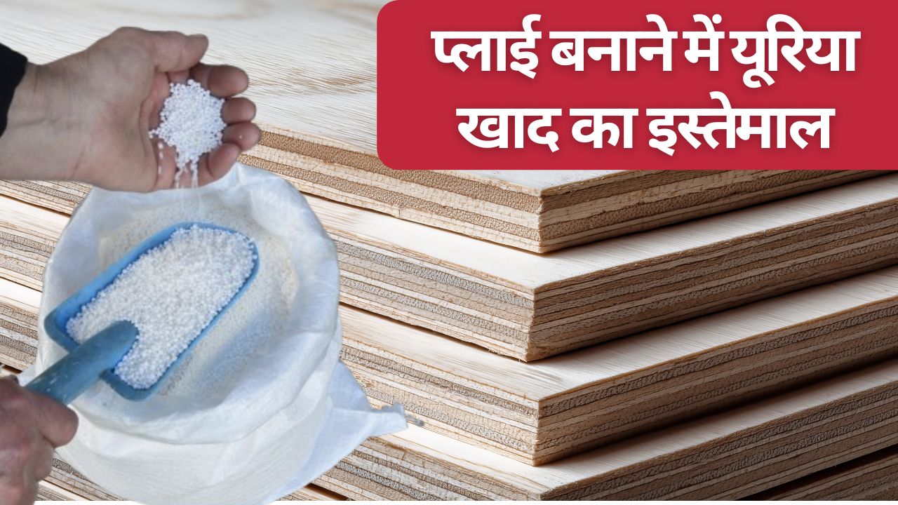 प्लाई बोर्ड बनाने में इस्तेमाल हो रही खाद, सस्ते में खरीदकर यूरिया खपाने वाली फैक्ट्री का भंडाफोड़