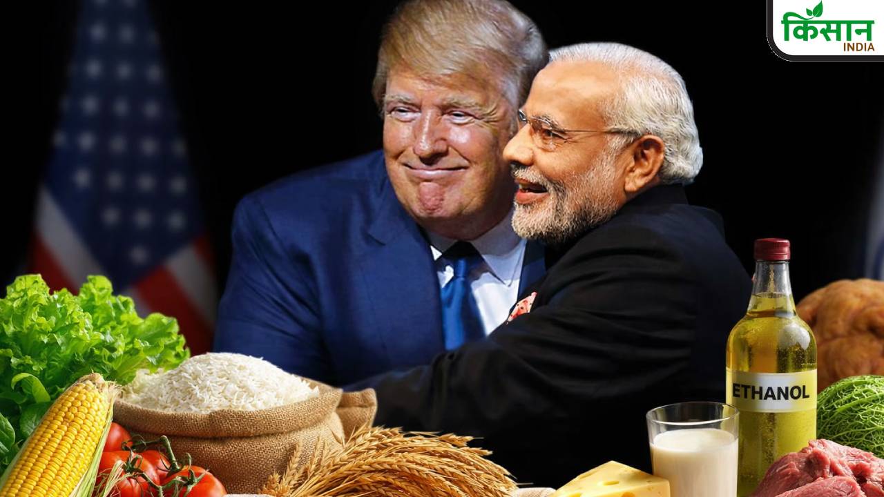 Explainer: कोर्ट के फैसले के बाद भारत-अमेरिका टैरिफ में क्या बदला, आसान भाषा में समझिए पूरा मामला