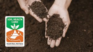 Soil Health Card: एक कार्ड, 3 साल की फ्री जांच! इस सरकारी सुविधा से किसान बढ़ा सकते हैं पैदावार, जानें Soil Health Card: एक कार्ड, 3 साल की फ्री जांच! इस सरकारी सुविधा से किसान बढ़ा सकते हैं पैदावार, जानें