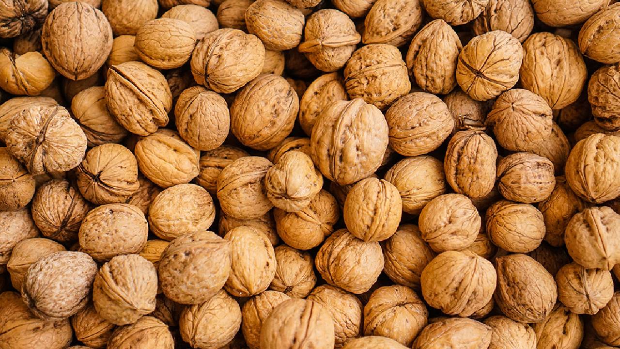 ड्यूटी चोरी का बड़ा खुलासा: अफगानिस्तान के नाम पर चीन से मंगाए गए अखरोट, कस्टम ने 46 कंटेनर किए जब्त ड्यूटी चोरी का बड़ा खुलासा: अफगानिस्तान के नाम पर चीन से मंगाए गए अखरोट, कस्टम ने 46 कंटेनर किए जब्त