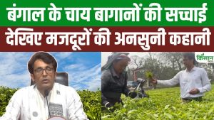 अरबों के चाय कारोबार के पीछे छिपा मजदूरों का संघर्ष, बागानों में मेहनत करने वालों की अनसुनी कहानी सामने अरबों के चाय कारोबार के पीछे छिपा मजदूरों का संघर्ष, बागानों में मेहनत करने वालों की अनसुनी कहानी सामने
