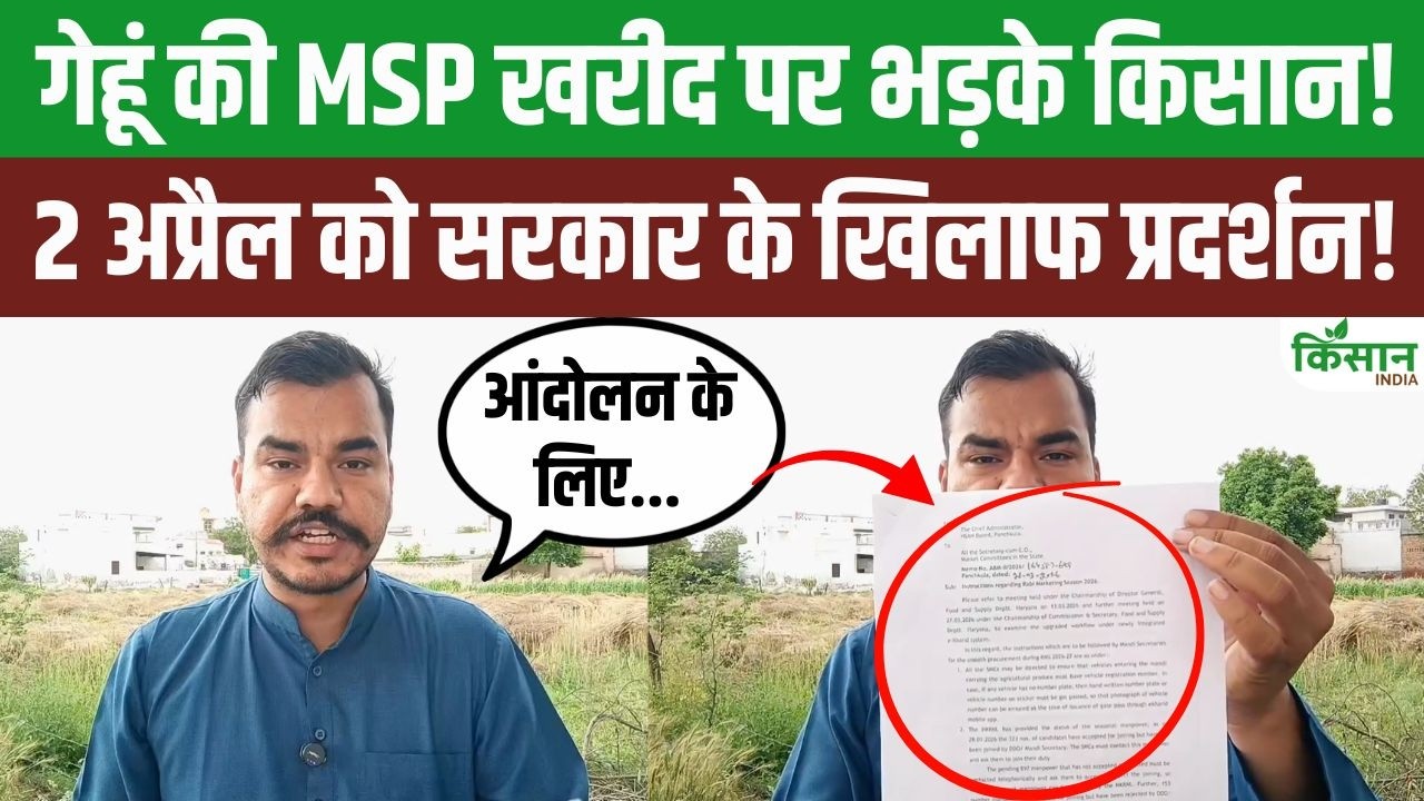 गेहूं के खरीद नियमों पर भड़के किसान नेता अभिमन्यु कोहाड़, 2 अप्रैल को बड़े आंदोलन की चेतावनी