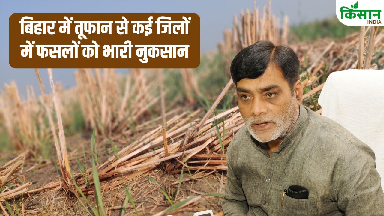बिहार में तबाही की रात! तूफान ने बर्बाद की फसलें, कृषि मंत्री का बड़ा ऐलान… क्या किसानों को मिलेगा मुआवजा?