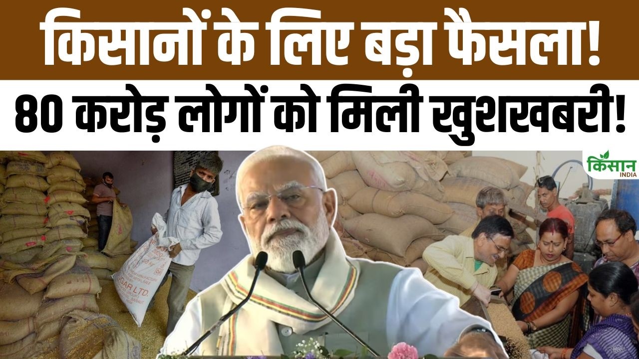 किसानों और गरीब परिवारों के लिए बड़ी राहत, 80 करोड़ राशन कार्ड धारकों को तीन महीने तक मिलेगा मुफ्त 1राशन