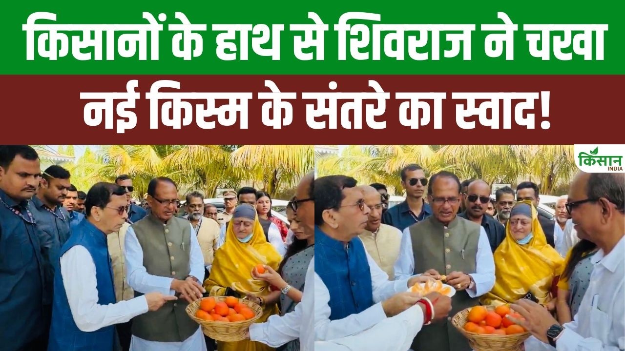 जैन इरिगेशन फार्म पहुंचे शिवराज सिंह, नई किस्म के संतरे का स्वाद चखा, किसानों को दी आधुनिक खेती की जानकारी