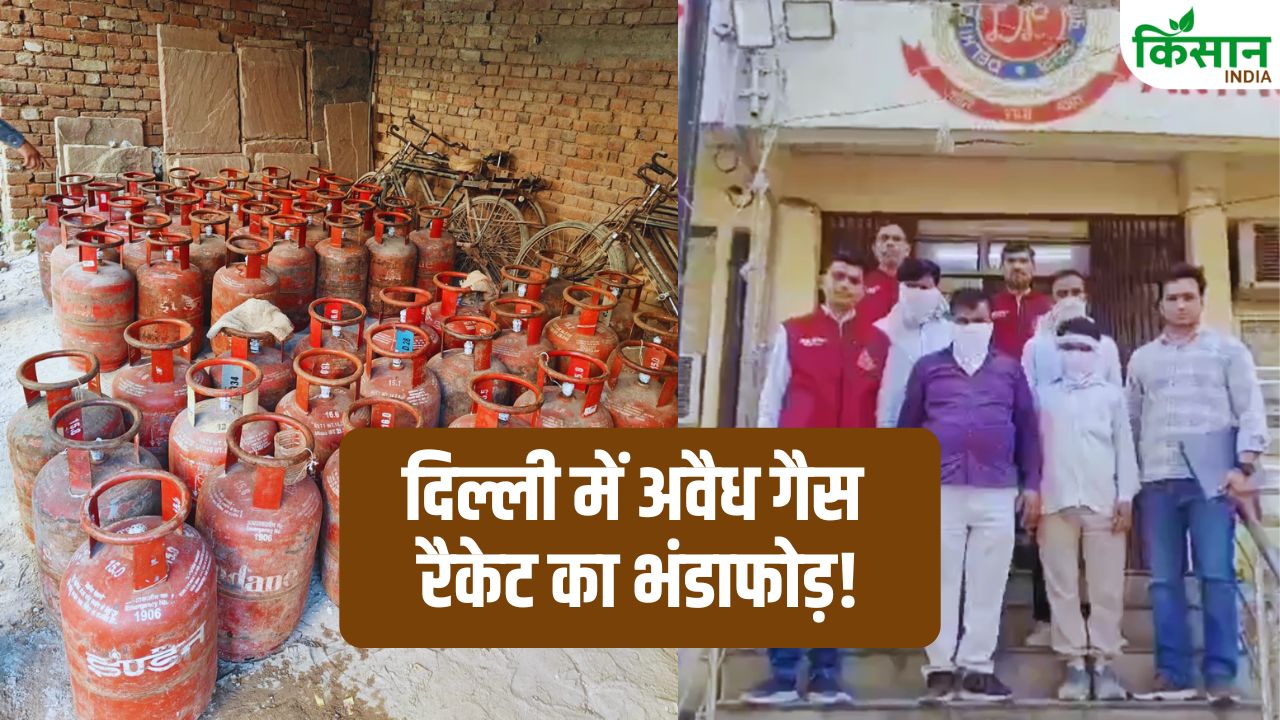 दिल्ली में गैस घोटाले का पर्दाफाश! डिलीवरी एजेंट ही निकले असली मास्टरमाइंड, 4 आरोपी गिरफ्तार