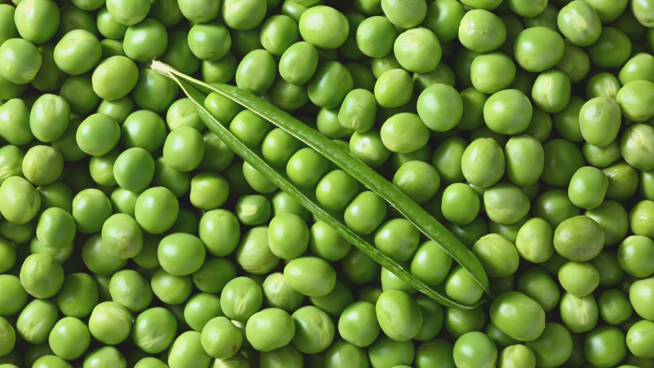 Vegetable Adulteration: आपकी हरी सब्जियों में खतरनाक रंग तो नहीं मिला? घर पर ऐसे करें 1 मिनट में टेस्ट