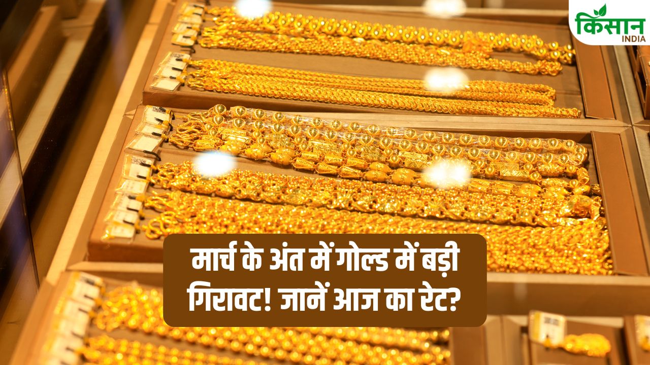 Gold Rate: सोना हुआ सस्ता! मार्च के अंत में बड़ी गिरावट, जानें आपके शहर में आज क्या है गोल्ड रेट