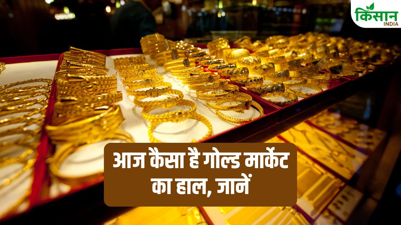 Gold Rate: सोने की कीमतों में लगातार गिरावट! क्या अभी खरीदना है सही? जानें आज कैसा है गोल्ड मार्केट का हाल