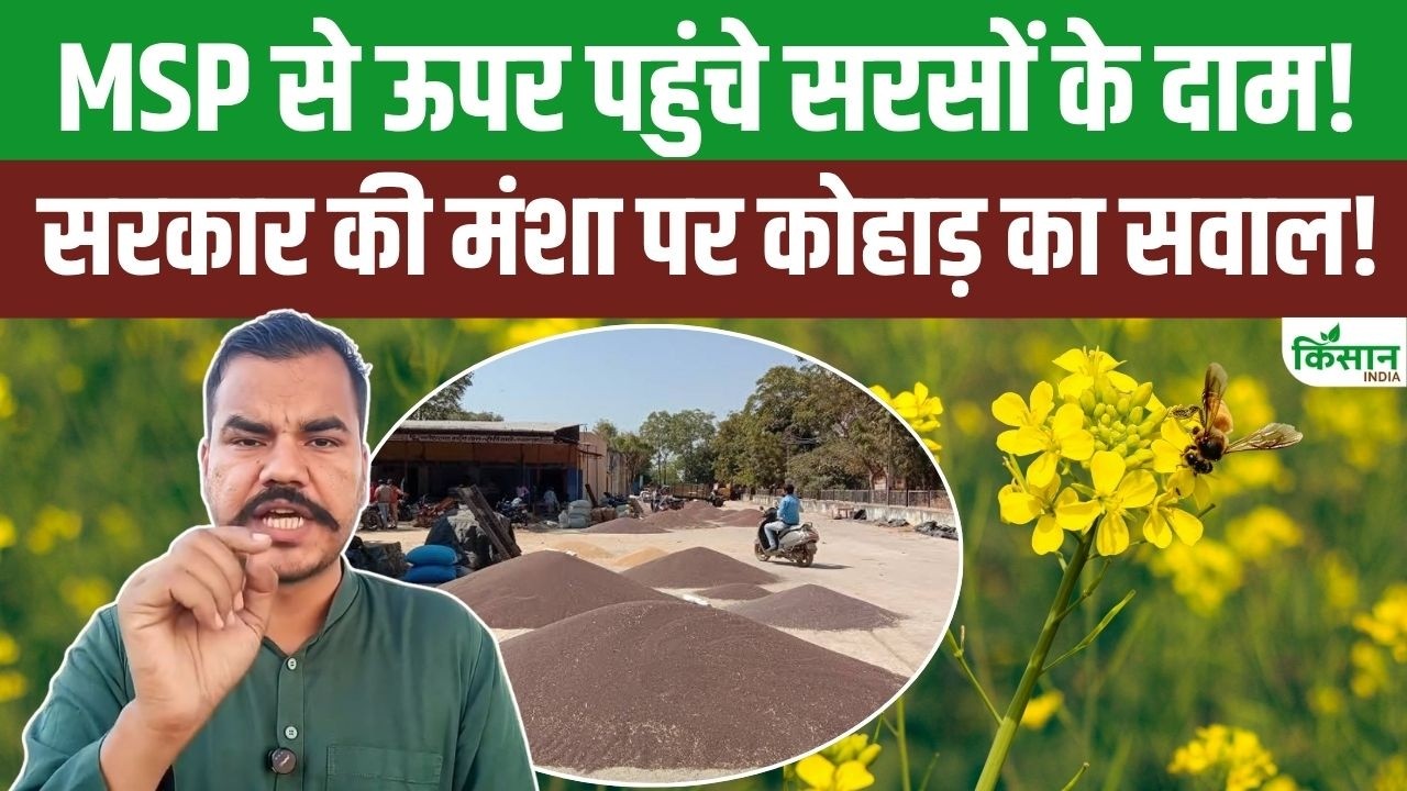 West Asia War के बीच सरसों के दाम MSP से ऊपर, किसान नेता Abhimanyu Kohar ने सरकार से पूछा बड़ा सवाल