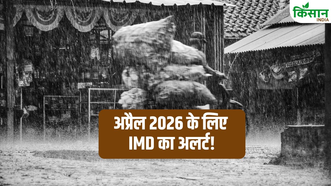 IMD का नया अलर्ट… बारिश के बीच भी लोगों को सताएगी गर्मी, जानें अप्रैल-जून तक कैसा रहेगा मौसम?